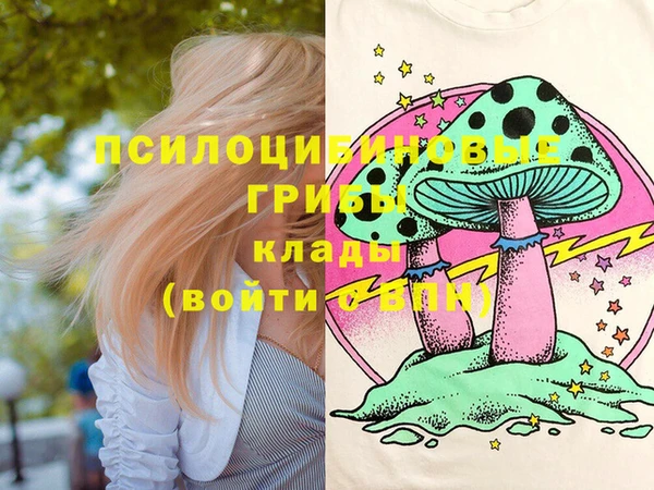кокс Арсеньев
