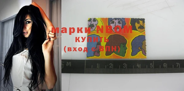 кокс Арсеньев