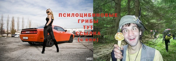 скорость Аркадак