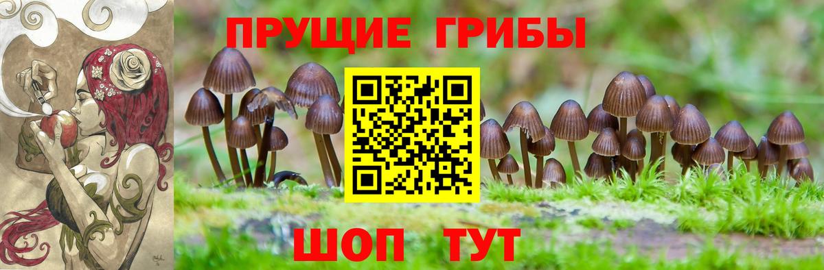 Псилоцибиновые грибы Cubensis Копейск