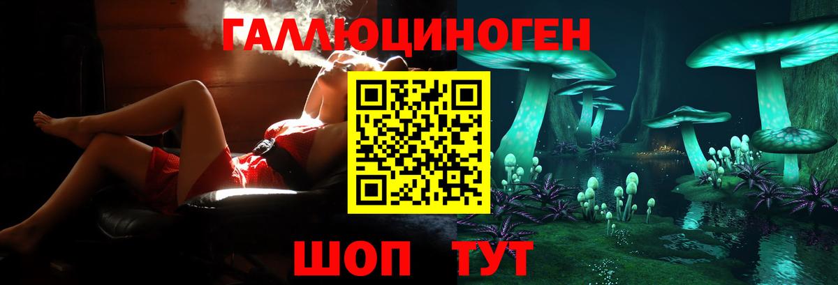 Копейск  Псилоцибиновые грибы прущие грибы  закладки  Вход с VPN 
